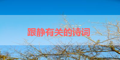 跟静有关的诗词 