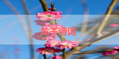 车子诗词 