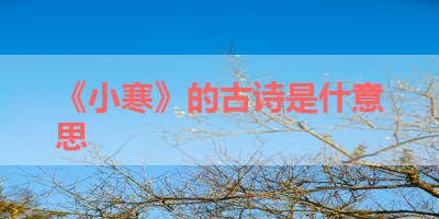 《小寒》的古诗是什意思 