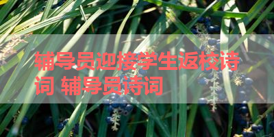 辅导员迎接学生返校诗词 辅导员诗词