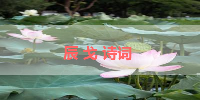辰 戈 诗词 