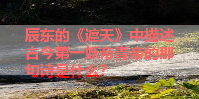 辰东的《遮天》中描述古今第一妖帝青帝的那句诗是什么？ 