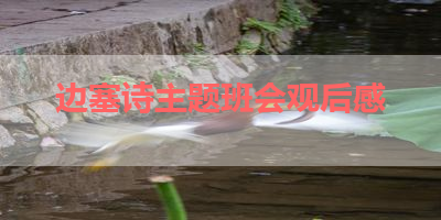 边塞诗主题班会观后感 