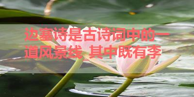 边塞诗是古诗词中的一道风景线_其中既有李 