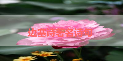 边塞诗著名诗句 