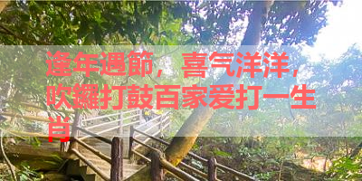 逢年遇節，喜气洋洋，吹鑼打鼓百家爱打一生肖 