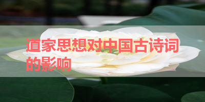 道家思想对中国古诗词的影响 