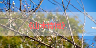 《山木诗词》 