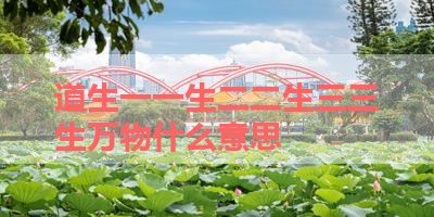 道生一一生二二生三三生万物什么意思 