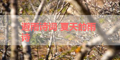 避雨诗词 夏天的雨 诗