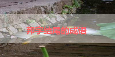 邦字结尾的成语 