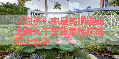 《庄子》中是抟扶摇而上者九千里还是传扶摇而上九千 