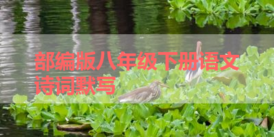 部编版八年级下册语文诗词默写 