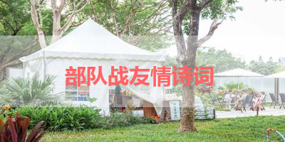 部队战友情诗词 