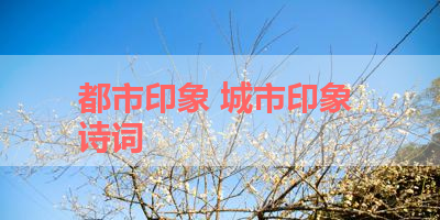 都市印象 城市印象 诗词 