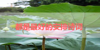 都是最好的安排诗词 
