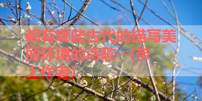都有哪些古代的描写美丽环境的诗歌--(带上作者) 