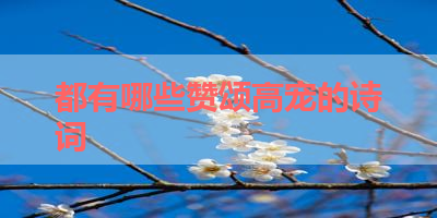 都有哪些赞颂高宠的诗词 