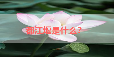 都江堰是什么？ 