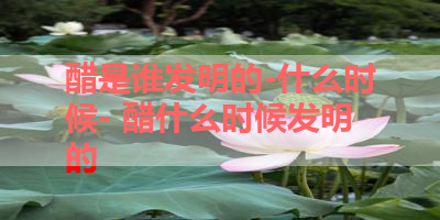 醋是谁发明的-什么时候- 醋什么时候发明的