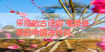 采摘的古诗词 意境最美的中国古诗词