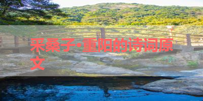 采桑子·重阳的诗词原文 