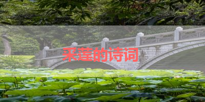采莲的诗词 