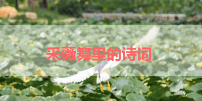 采薇舞里的诗词 