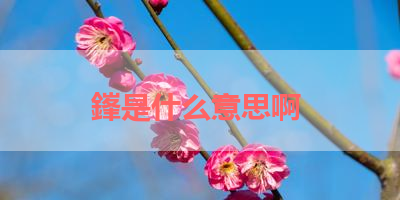 鎽是什么意思啊 