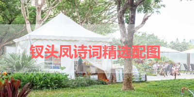 钗头凤诗词精选配图 