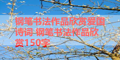 钢笔书法作品欣赏爱国诗词 钢笔书法作品欣赏150字