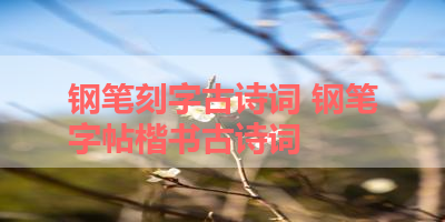 钢笔刻字古诗词 钢笔字帖楷书古诗词