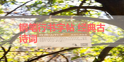钢笔行书字帖 经典古诗词 