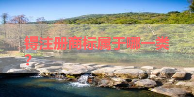 锝注册商标属于哪一类？ 