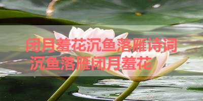 闭月羞花沉鱼落雁诗词 沉鱼落雁闭月羞花
