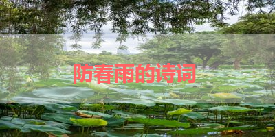 防春雨的诗词 