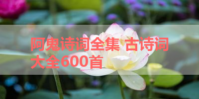 阿鬼诗词全集 古诗词大全600首 