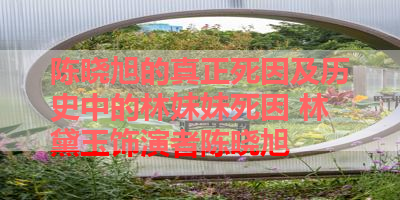 陈晓旭的真正死因及历史中的林妹妹死因 林黛玉饰演者陈晓旭