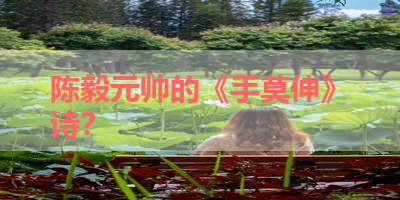 陈毅元帅的《手莫伸》诗？ 