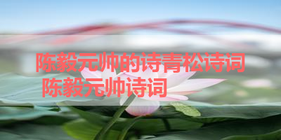 陈毅元帅的诗青松诗词 陈毅元帅诗词