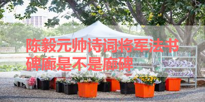 陈毅元帅诗词将军法书碑廊是不是廊碑 