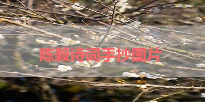 陈毅诗词手抄图片 