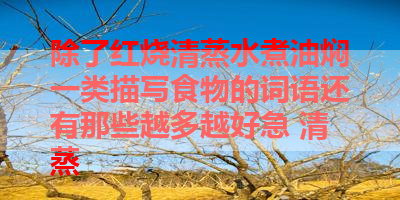 除了红烧清蒸水煮油焖一类描写食物的词语还有那些越多越好急 清蒸