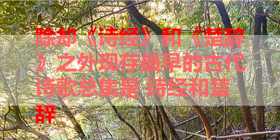 除却《诗经》和《楚辞》之外现存最早的古代诗歌总集是 诗经和楚辞