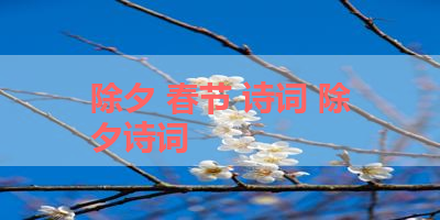除夕 春节 诗词 除夕诗词
