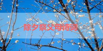 除夕祭父母诗词 