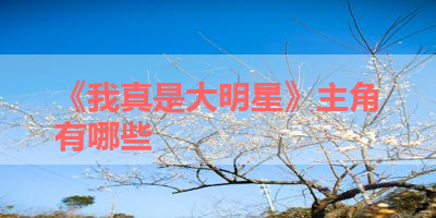 《我真是大明星》主角有哪些 