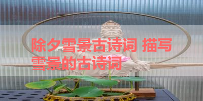 除夕雪景古诗词 描写雪景的古诗词