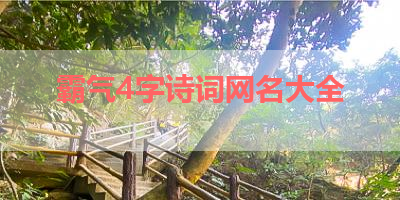 霸气4字诗词网名大全 