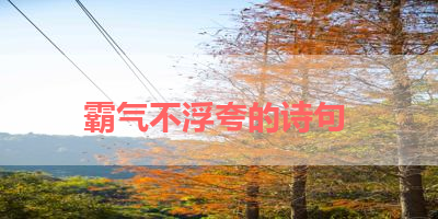 霸气不浮夸的诗句 